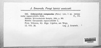 Image Associated With the Occurence